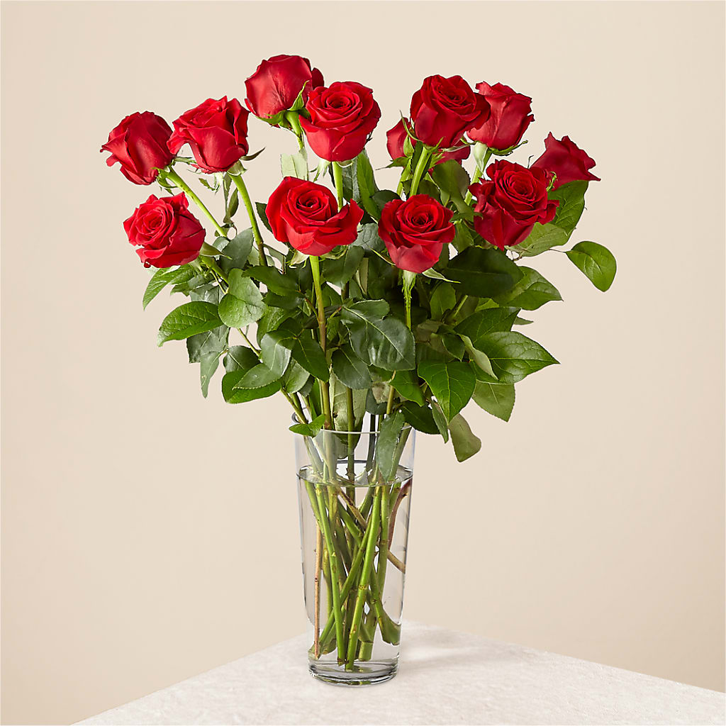 Long Stem Red Rose Bouquet – Floral Villa, Whitewater WI