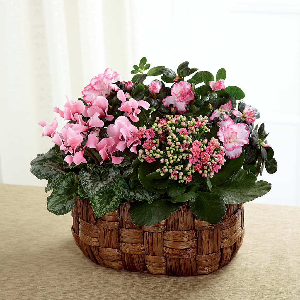 Pink Assortment – Floral Villa, Whitewater WI