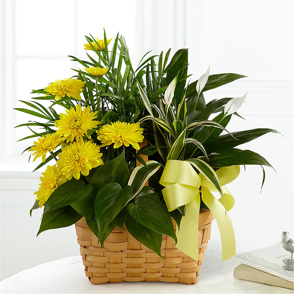 Loving Light Dishgarden – Floral Villa, Whitewater WI