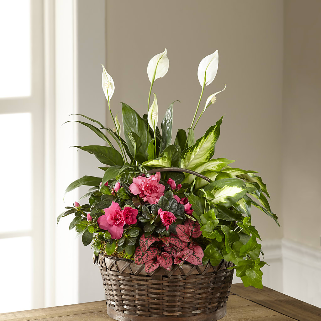 Dream in Pink Dishgarden – Floral Villa, Whitewater WI
