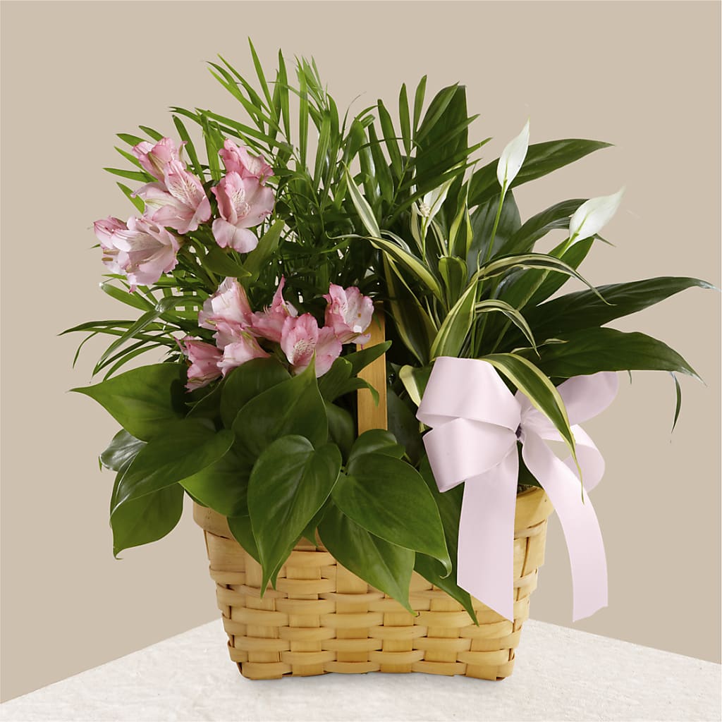 Living Spirit Dishgarden – Floral Villa, Whitewater WI