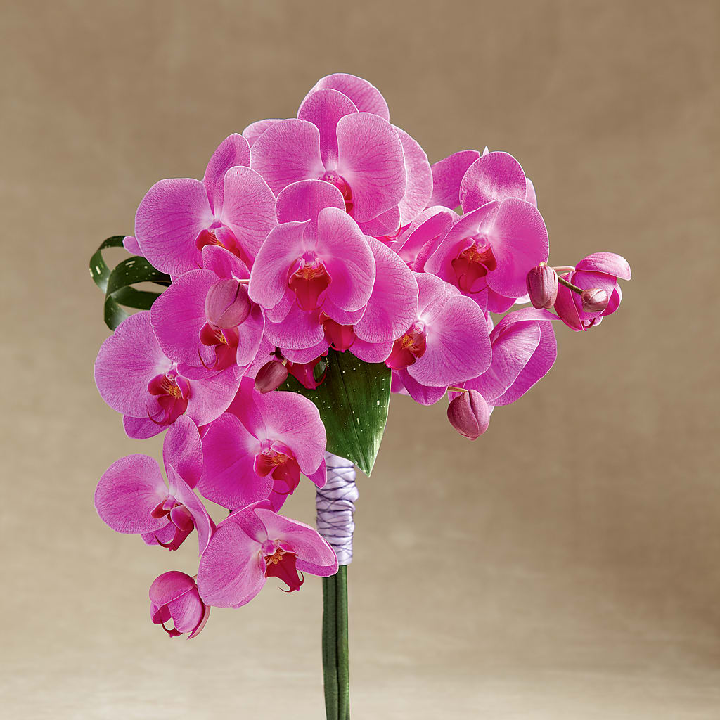 Glorious Bouquet – Floral Villa, Whitewater WI