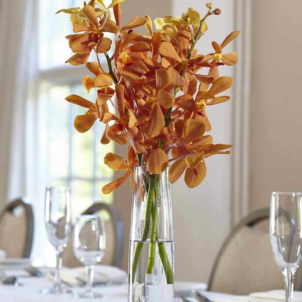 Orange Mokara Bud Vase – Floral Villa, Whitewater WI