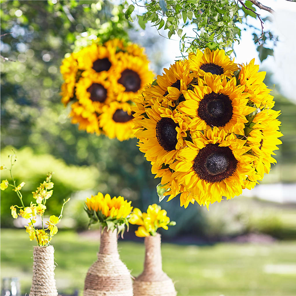 Sublime Garden Hanging Arrangement – Floral Villa, Whitewater WI