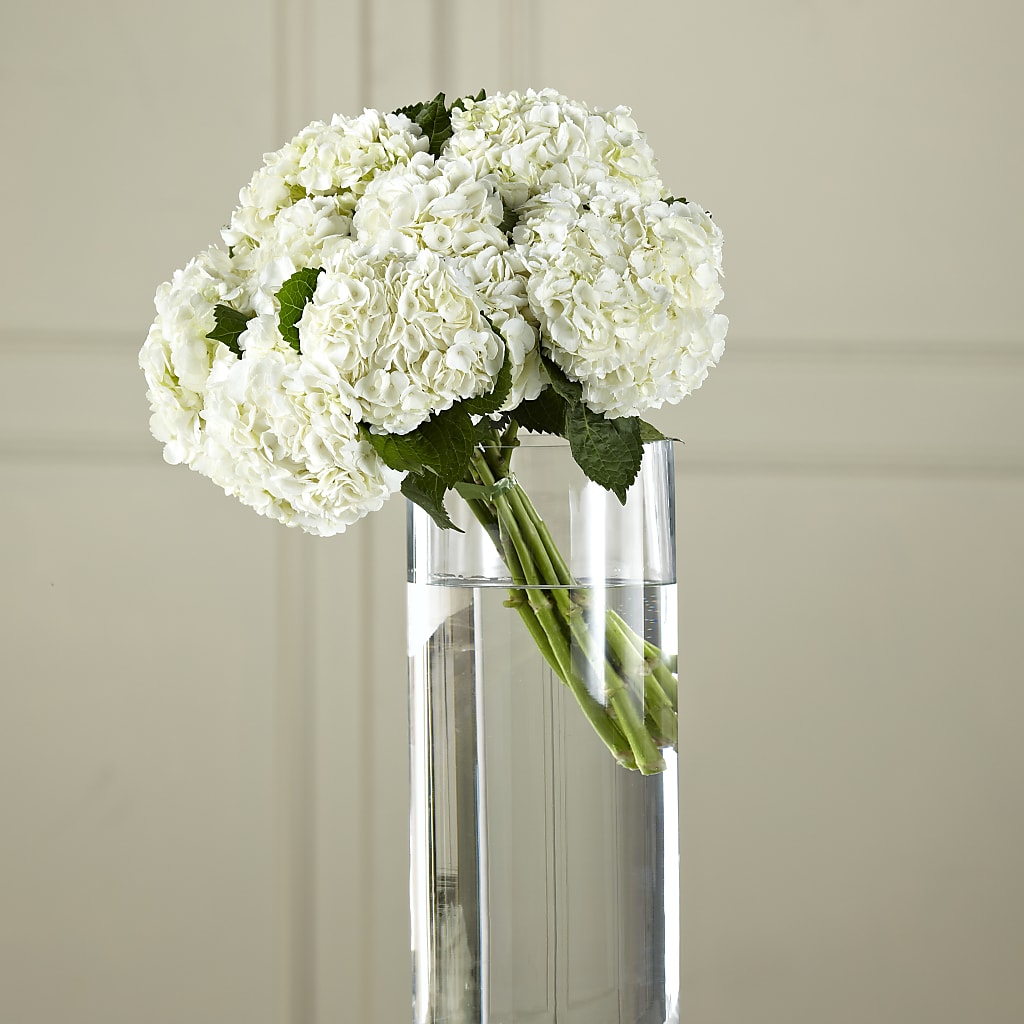 White Hydrangea Hand-Tied Bouquet – Floral Villa, Whitewater WI