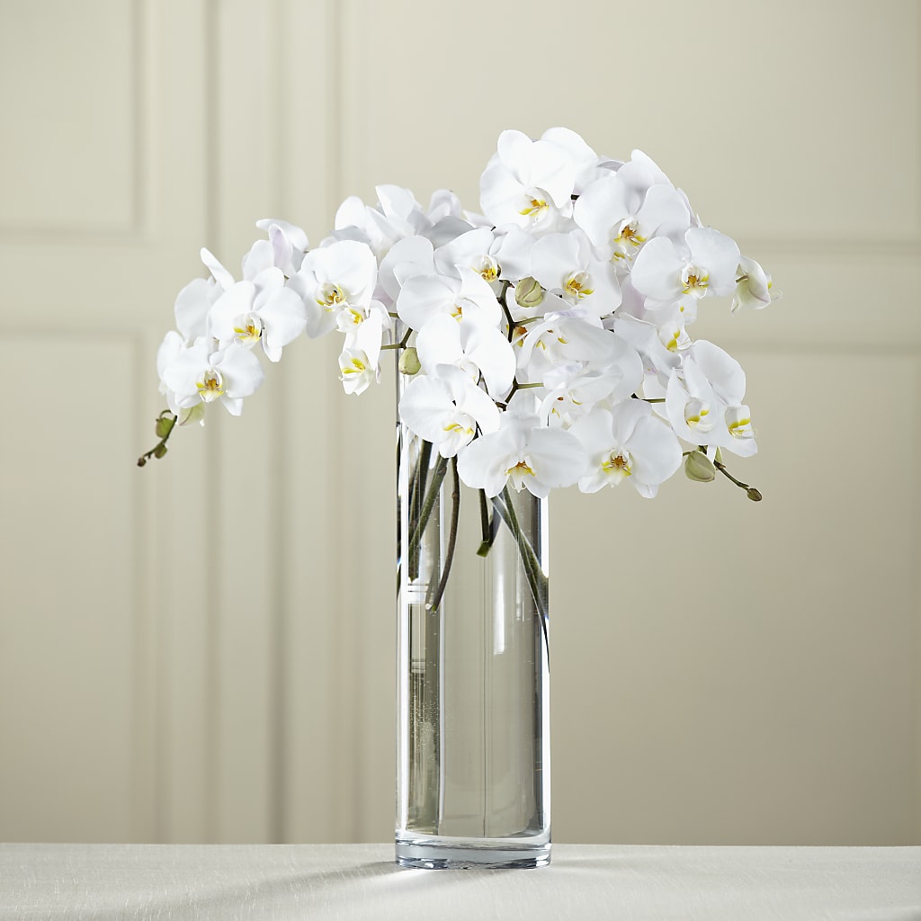 White Phalaenopsis Bouquet – Floral Villa, Whitewater WI