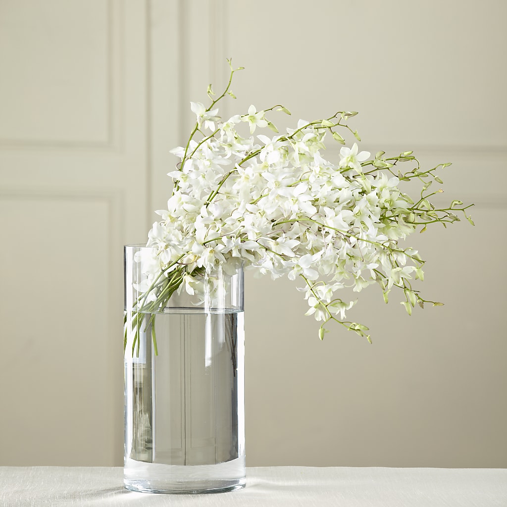 White Dendrobium Bouquet – Floral Villa, Whitewater WI