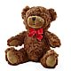Adorable Plush Bear –  Floral Villa, Whitewater WI