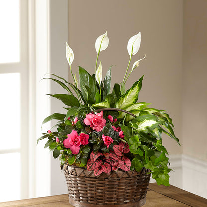 Dream in Pink Dishgarden –  Floral Villa, Whitewater WI