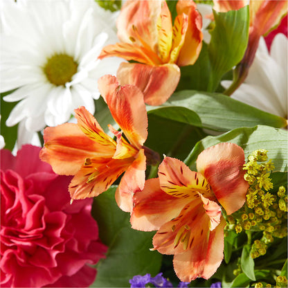 Oopsie Daisy Box Bouquet –  Floral Villa, Whitewater WI