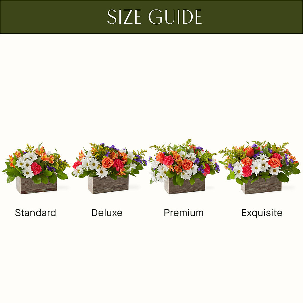 Oopsie Daisy Box Bouquet –  Floral Villa, Whitewater WI