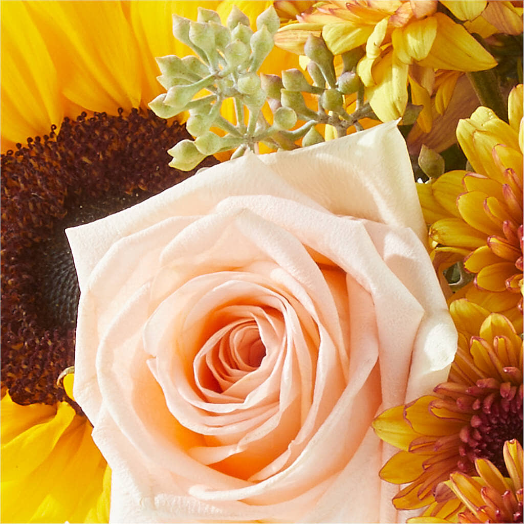 Pumpkin to Talk About Bouquet –  Floral Villa, Whitewater WI