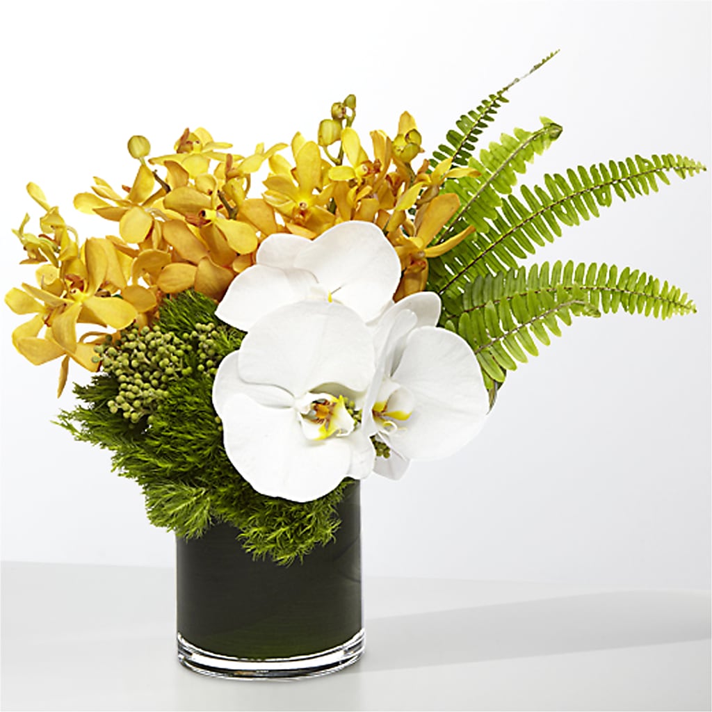 The Tropics –  Floral Villa, Whitewater WI