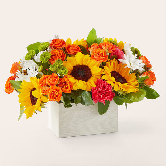 Sun-drenched Blooms Box Bouquet –  Floral Villa, Whitewater WI