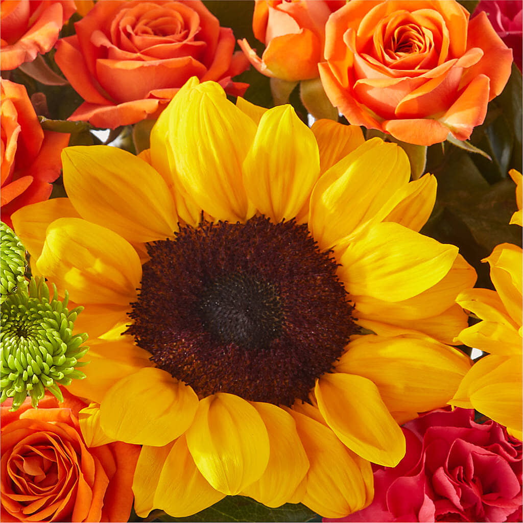 Sun-drenched Blooms Box Bouquet –  Floral Villa, Whitewater WI