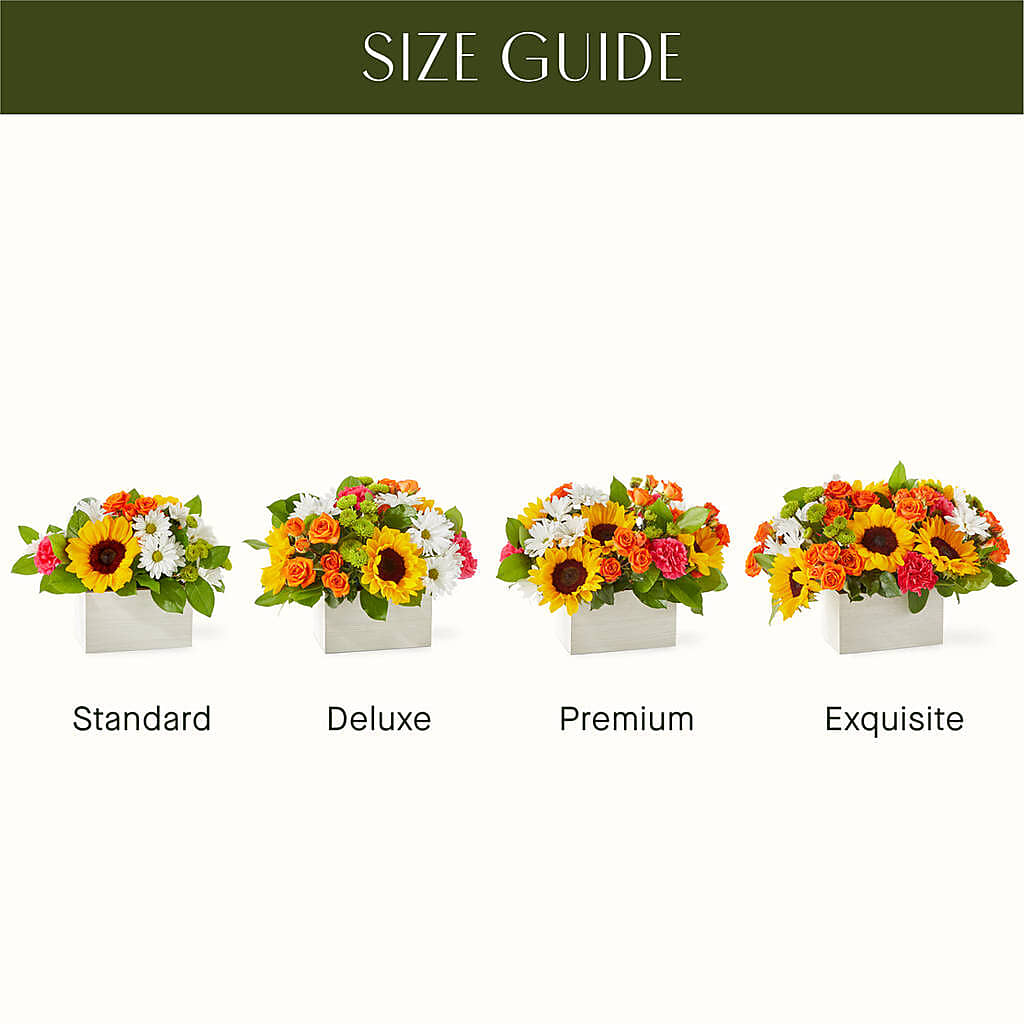 Sun-drenched Blooms Box Bouquet –  Floral Villa, Whitewater WI