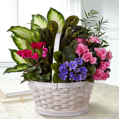 Peaceful Garden Planter –  Floral Villa, Whitewater WI