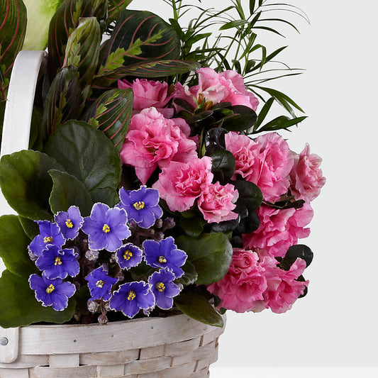 Peaceful Garden Planter –  Floral Villa, Whitewater WI