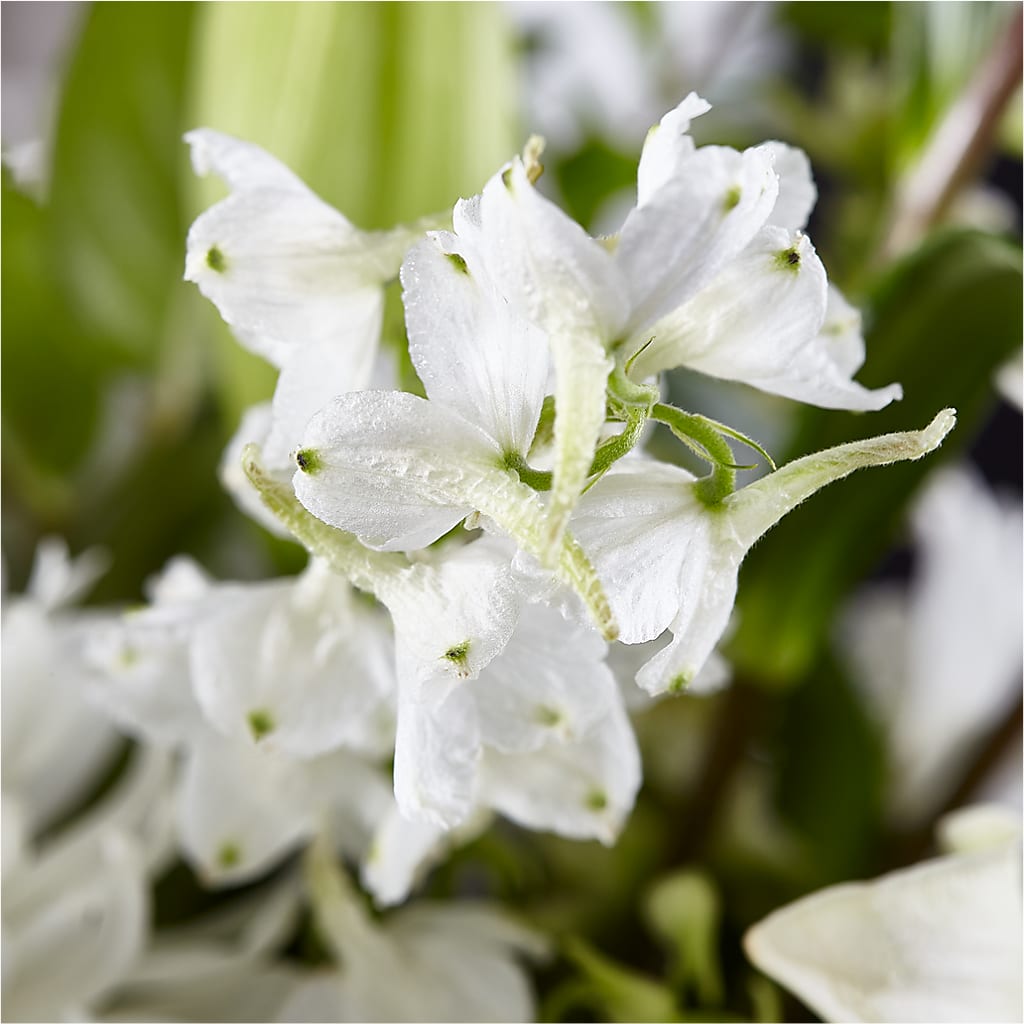 Classic Ivory – A Florist Original –  Floral Villa, Whitewater WI