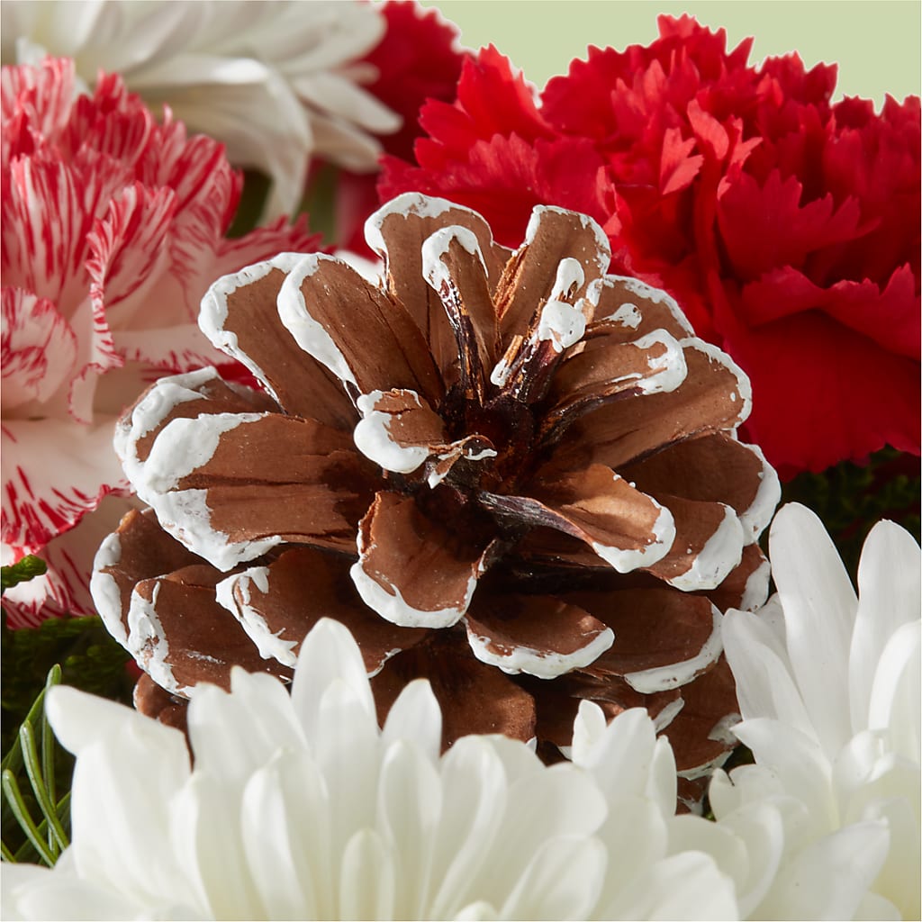 Candy Cane Lane Bouquet –  Floral Villa, Whitewater WI