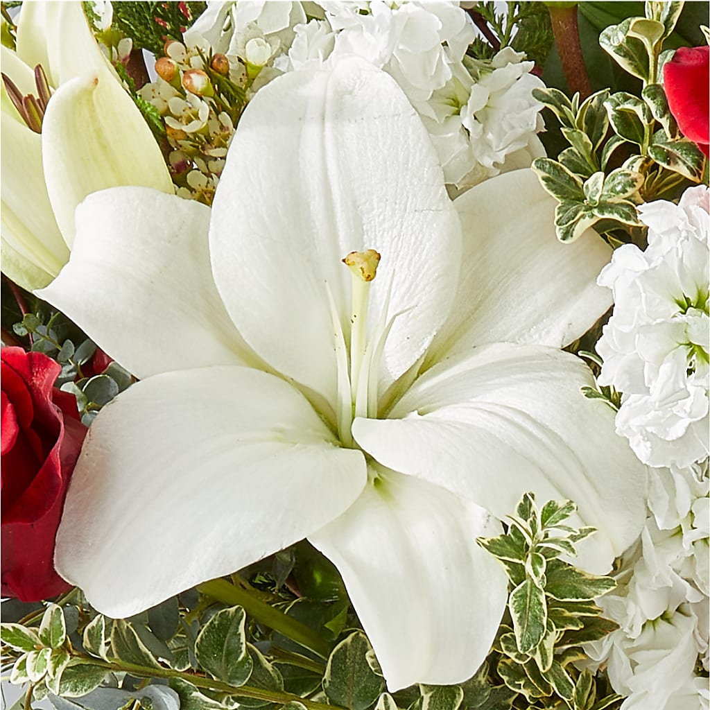 Twinkle Lights Bouquet –  Floral Villa, Whitewater WI