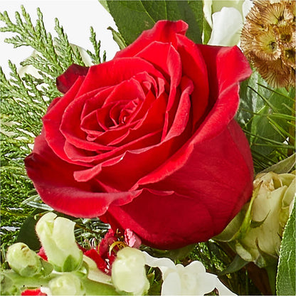 Deck the Halls Bouquet –  Floral Villa, Whitewater WI