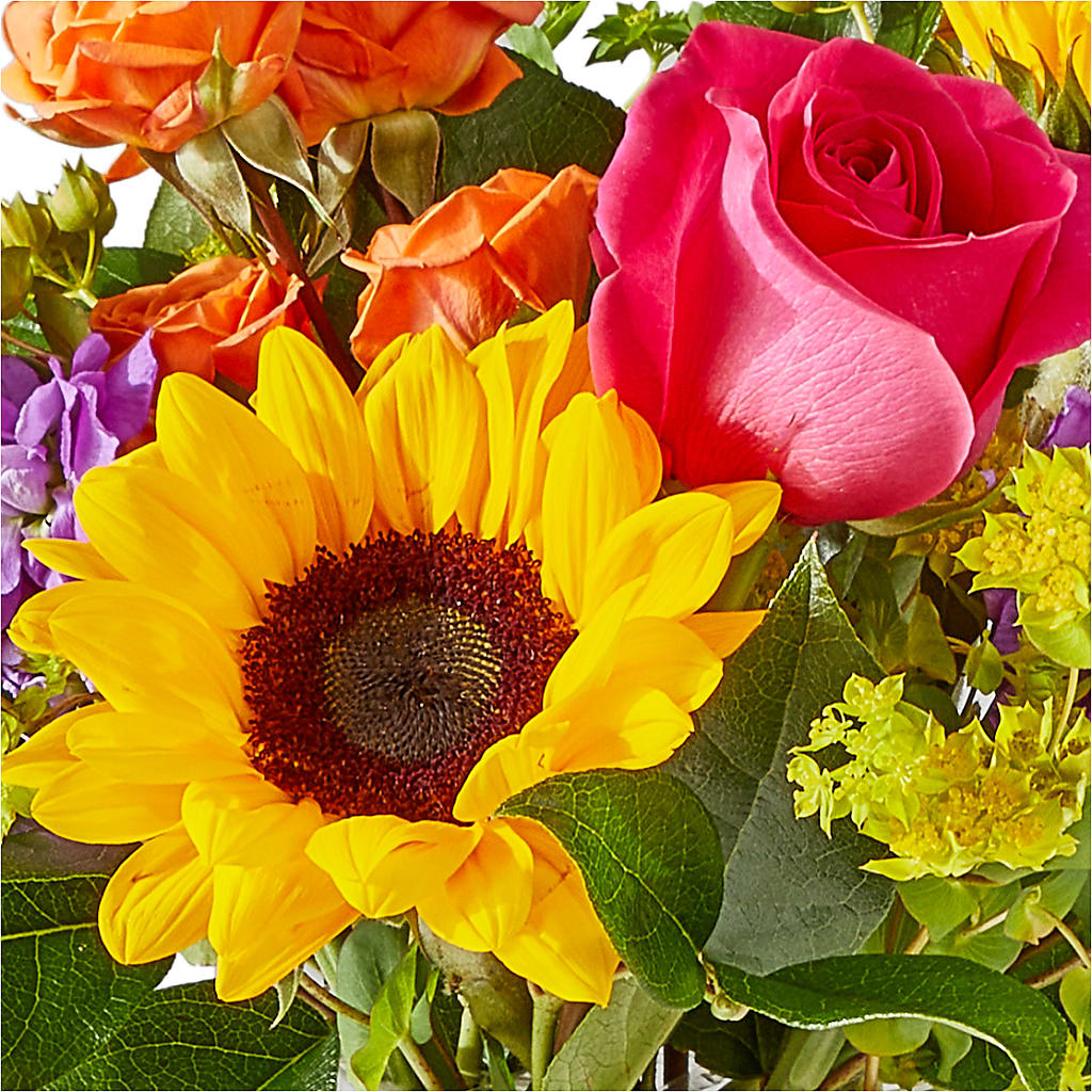 Vibrant Greetings Bouquet –  Floral Villa, Whitewater WI