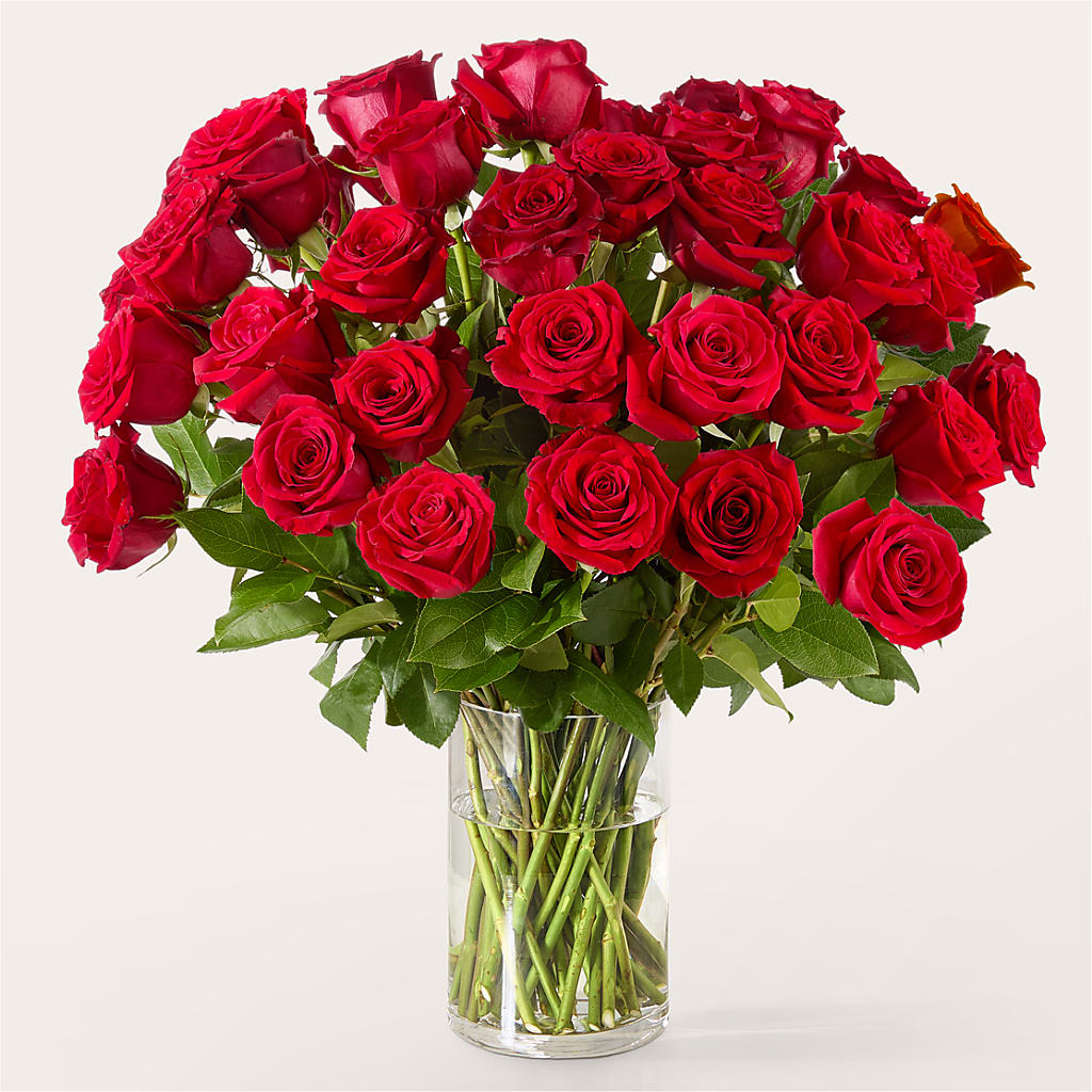 The One Red Rose Bouquet –  Floral Villa, Whitewater WI