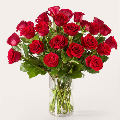 The One Red Rose Bouquet –  Floral Villa, Whitewater WI
