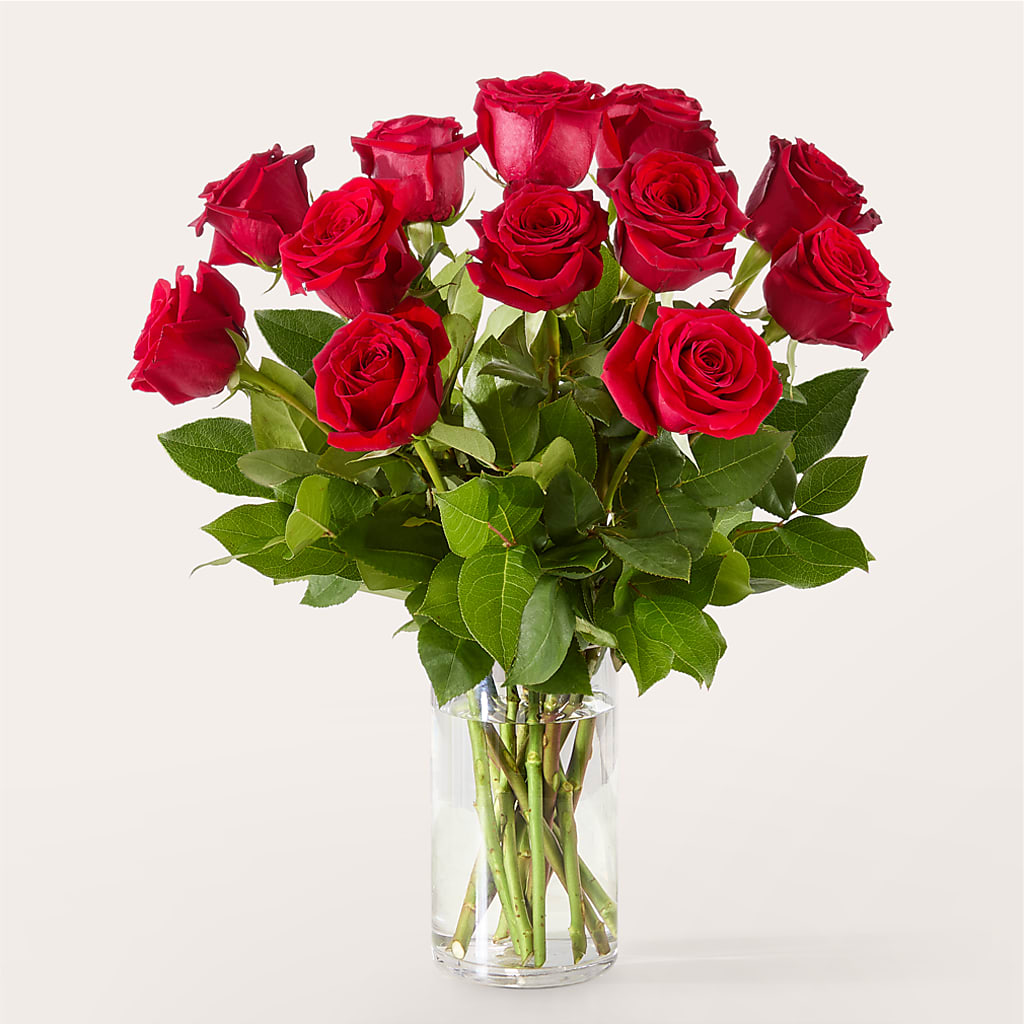 The One Red Rose Bouquet –  Floral Villa, Whitewater WI