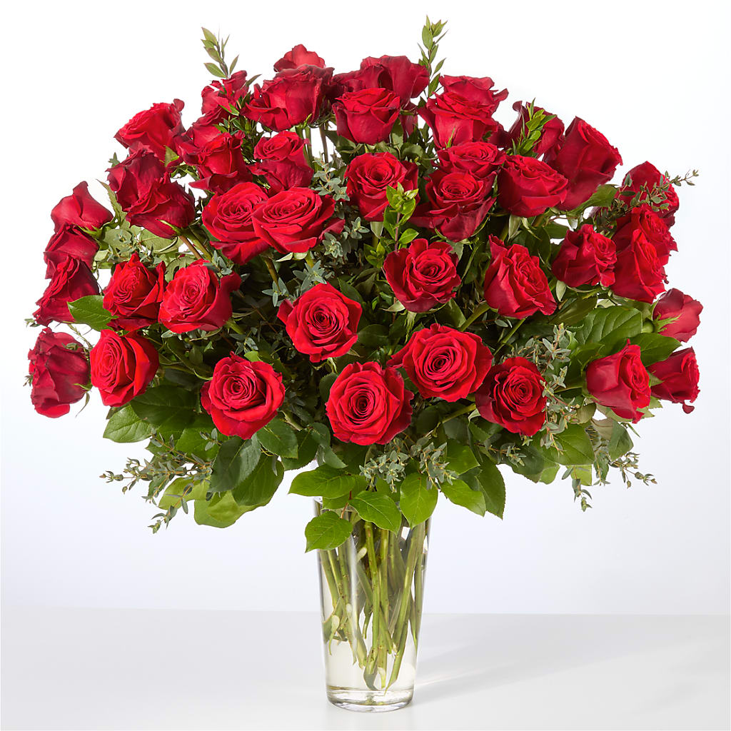 Forever Yours Fifty Stem Red Rose Bouquet –  Floral Villa, Whitewater WI