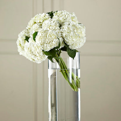 White Hydrangea Hand-Tied Bouquet –  Floral Villa, Whitewater WI
