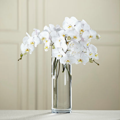 White Phalaenopsis Bouquet –  Floral Villa, Whitewater WI