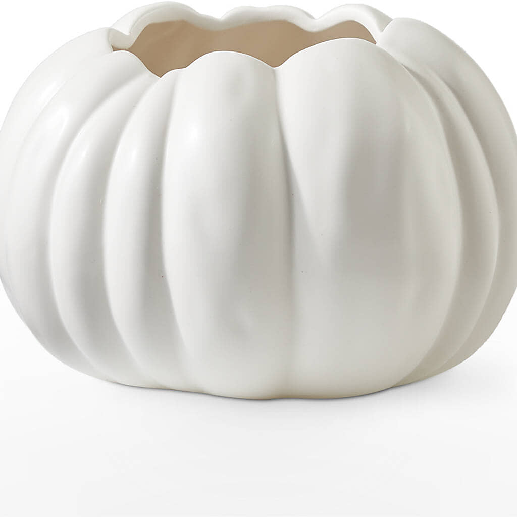 Pumpkin to Talk About Bouquet –  Floral Villa, Whitewater WI